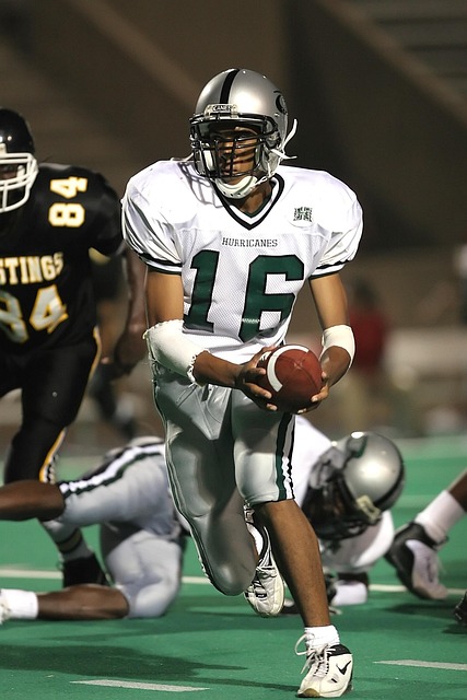 亚冬会通过 亚冬会通过