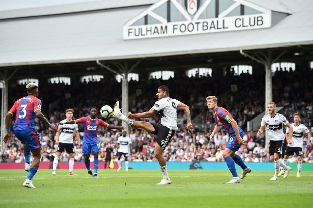 比赛日的金 比赛日的金