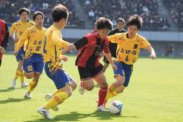 目的投入和 目的投入和